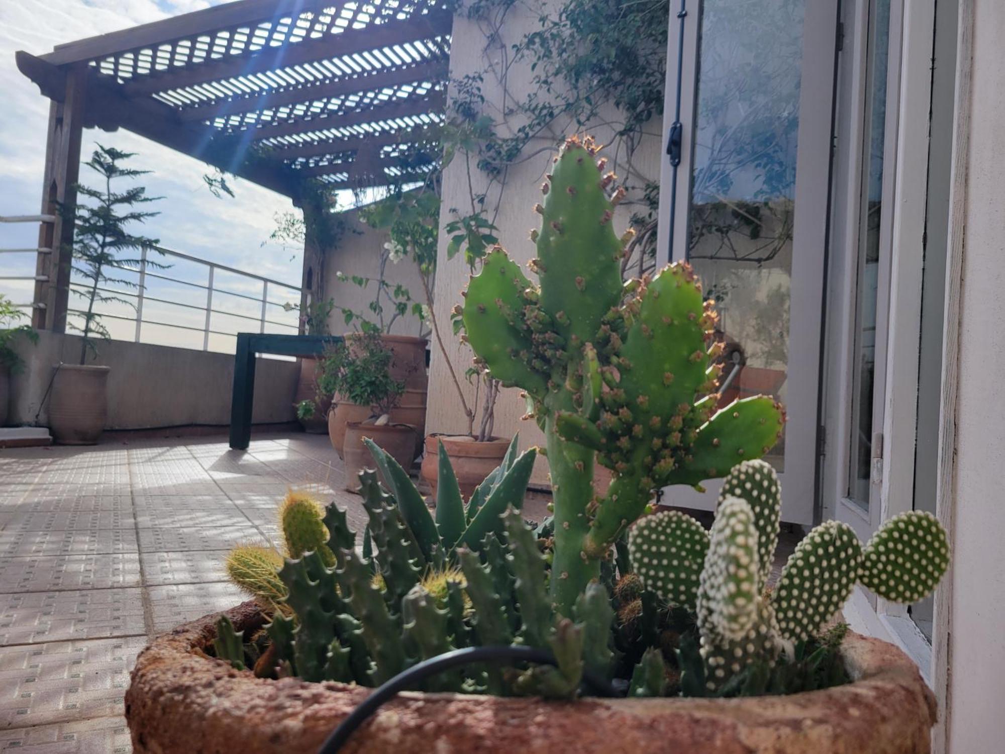 Las Terrazas Mogador Essaouira Eksteriør bilde